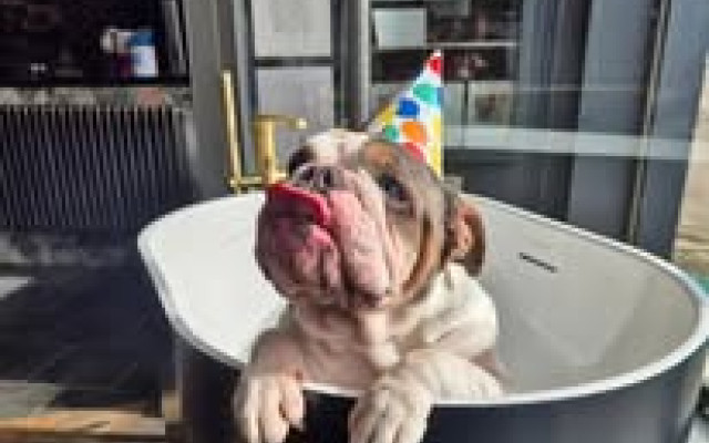 Winnie our shop mascot doing her photoshoot